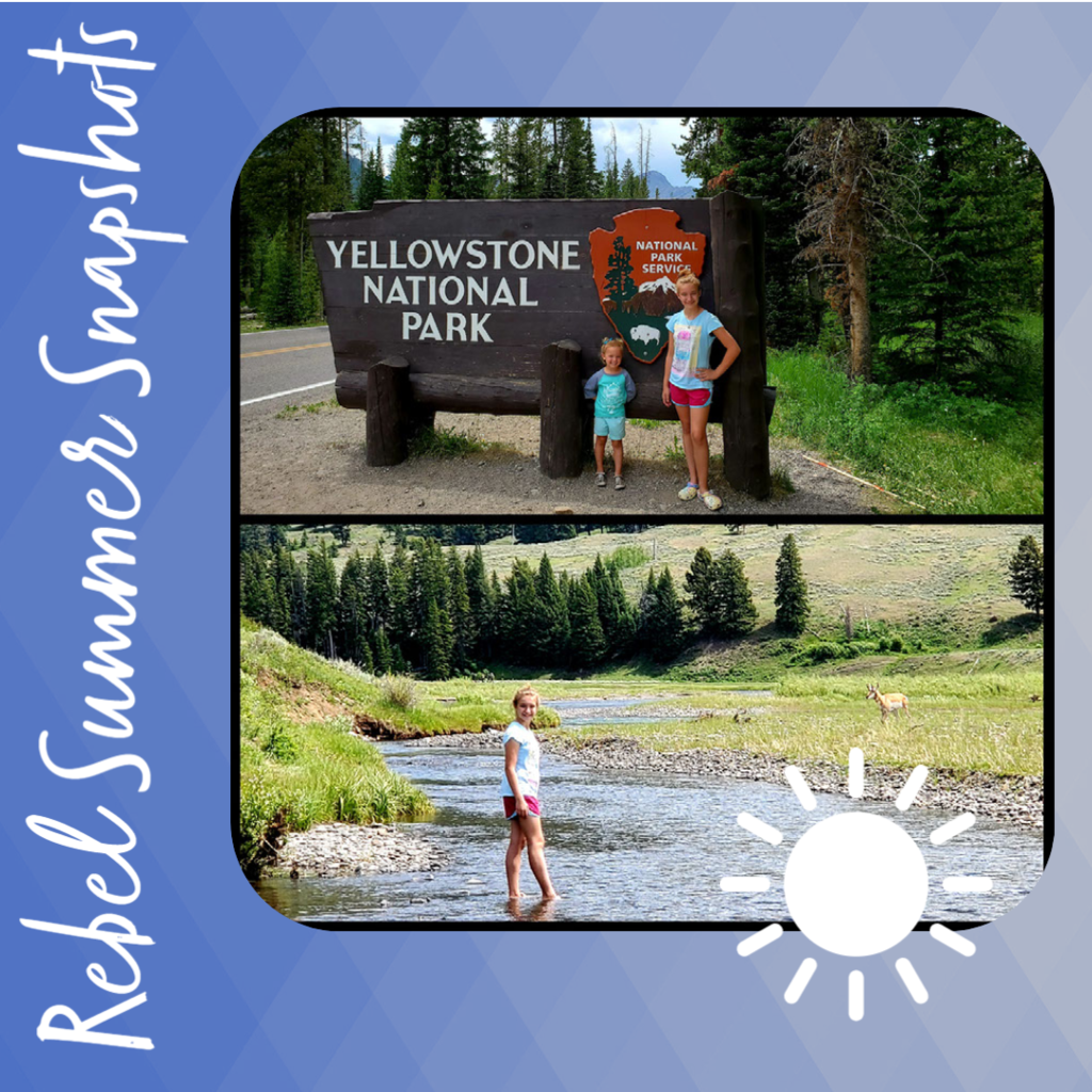 Rebel Summer Snapshot