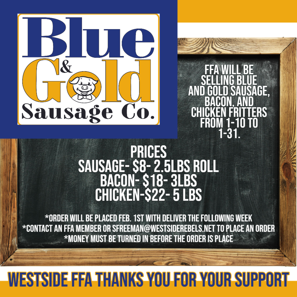 Blue & Gold
