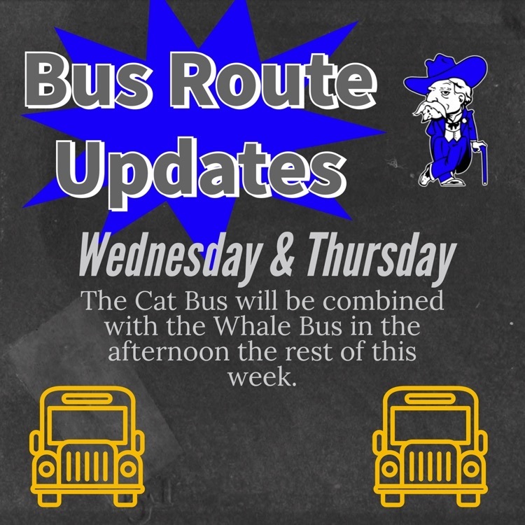  bus update